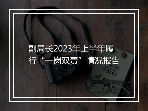 副局长2023年上半年履行“一岗双责”情况报告