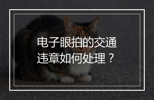 电子眼拍的交通违章如何处理？