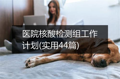 医院核酸检测组工作计划(实用44篇)