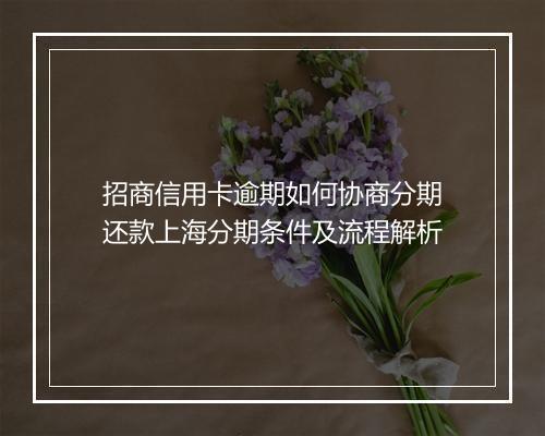 招商信用卡逾期如何协商分期还款上海分期条件及流程解析