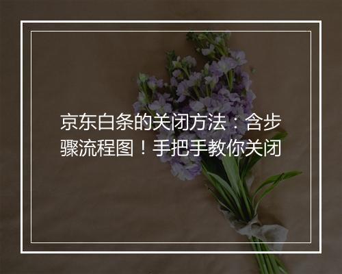 京东白条的关闭方法：含步骤流程图！手把手教你关闭