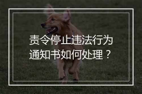 责令停止违法行为通知书如何处理？