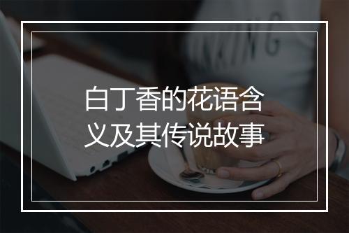 白丁香的花语含义及其传说故事