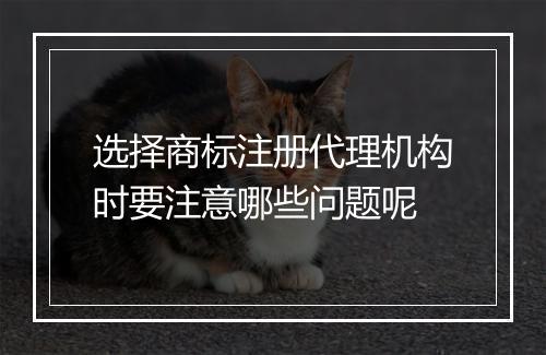 选择商标注册代理机构时要注意哪些问题呢