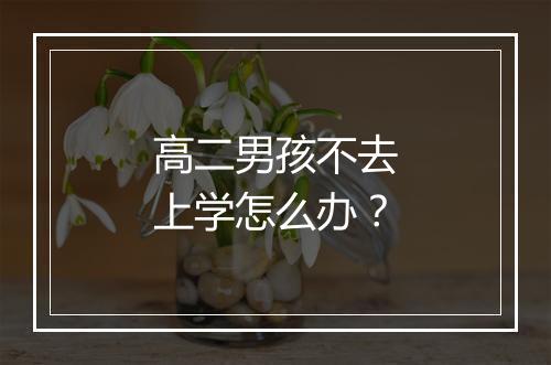 高二男孩不去上学怎么办？