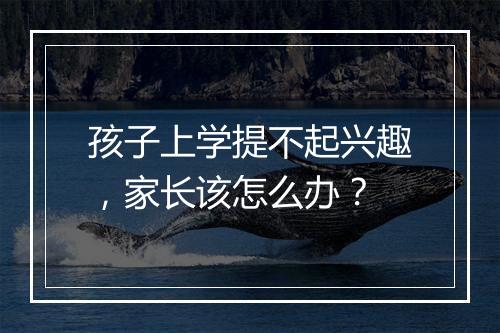 孩子上学提不起兴趣，家长该怎么办？