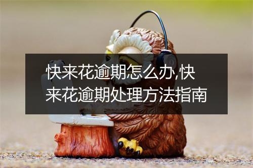 快来花逾期怎么办,快来花逾期处理方法指南