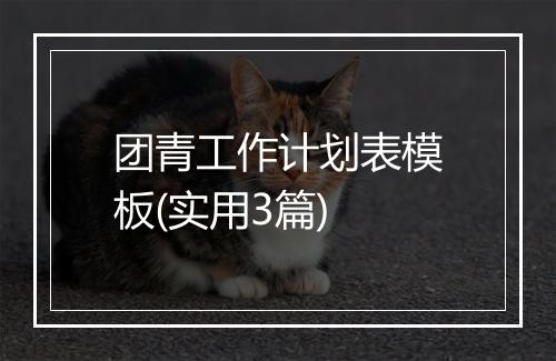 团青工作计划表模板(实用3篇)