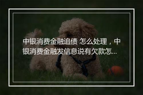 中银消费金融追债 怎么处理，中银消费金融发信息说有欠款怎么办