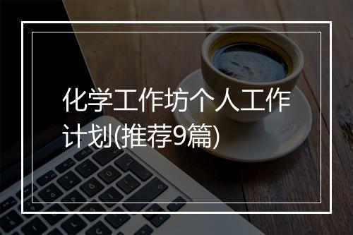 化学工作坊个人工作计划(推荐9篇)