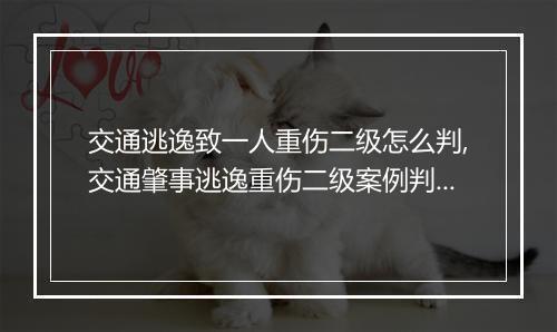 交通逃逸致一人重伤二级怎么判,交通肇事逃逸重伤二级案例判刑