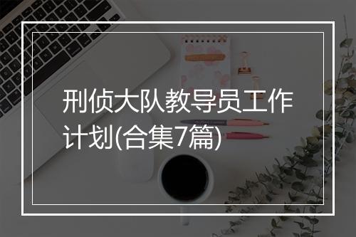刑侦大队教导员工作计划(合集7篇)