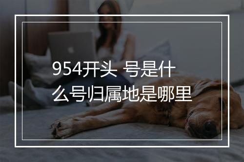 954开头 号是什么号归属地是哪里