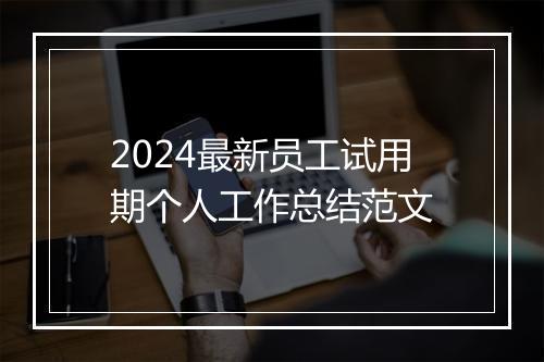 2024最新员工试用期个人工作总结范文