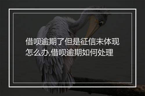 借呗逾期了但是征信未体现怎么办,借呗逾期如何处理