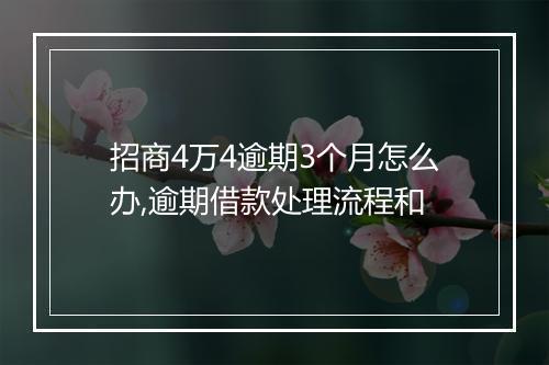 招商4万4逾期3个月怎么办,逾期借款处理流程和