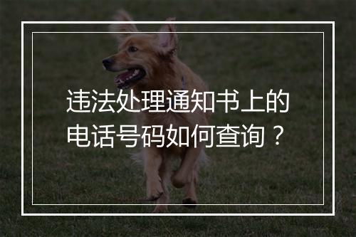 违法处理通知书上的电话号码如何查询？