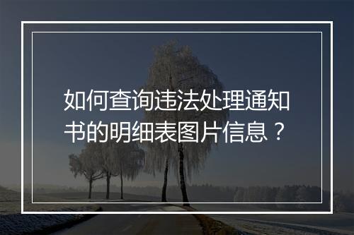 如何查询违法处理通知书的明细表图片信息？