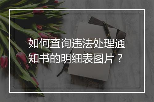 如何查询违法处理通知书的明细表图片？