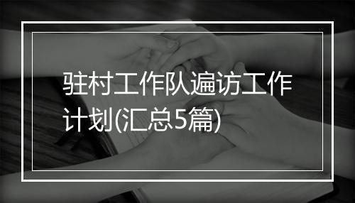 驻村工作队遍访工作计划(汇总5篇)