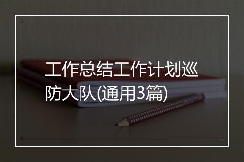 工作总结工作计划巡防大队(通用3篇)
