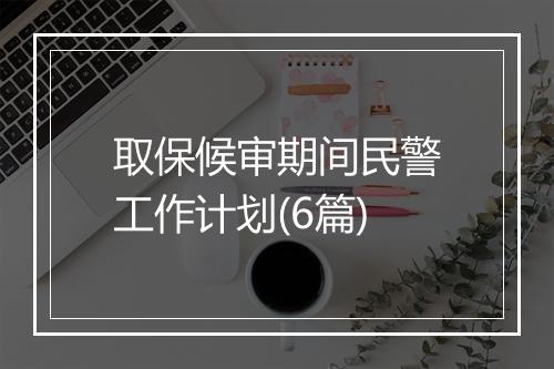 取保候审期间民警工作计划(6篇)