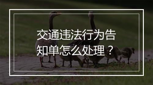 交通违法行为告知单怎么处理？