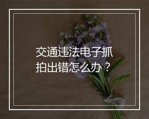交通违法电子抓拍出错怎么办？