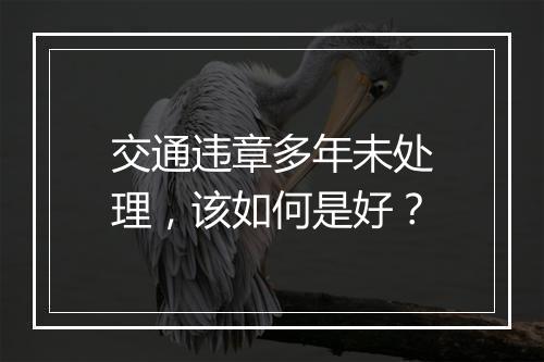 交通违章多年未处理，该如何是好？