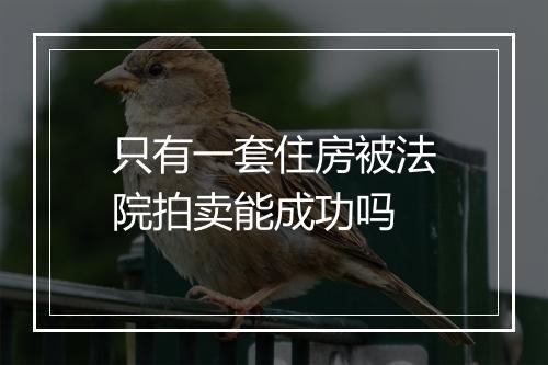 只有一套住房被法院拍卖能成功吗