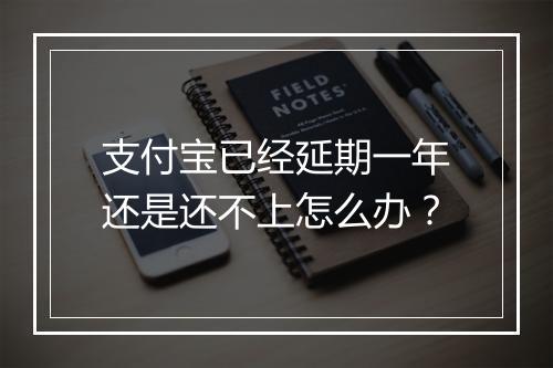 支付宝已经延期一年还是还不上怎么办？