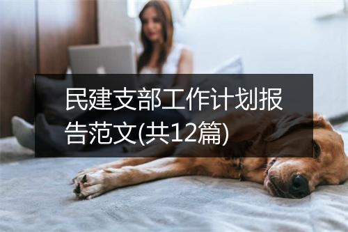 民建支部工作计划报告范文(共12篇)