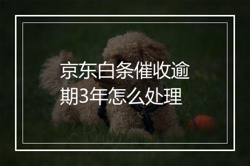 京东白条催收逾期3年怎么处理
