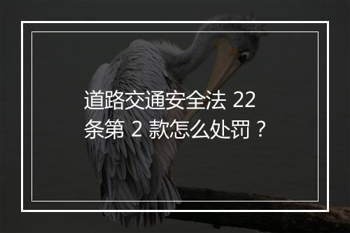 道路交通安全法 22 条第 2 款怎么处罚？