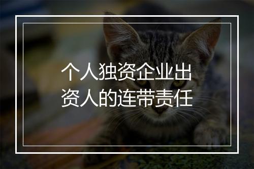 个人独资企业出资人的连带责任