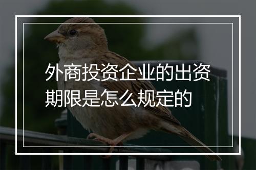 外商投资企业的出资期限是怎么规定的
