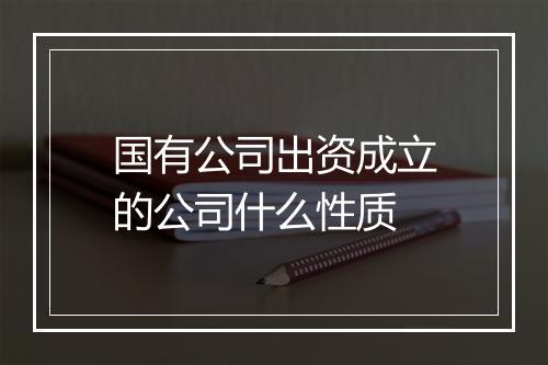 国有公司出资成立的公司什么性质