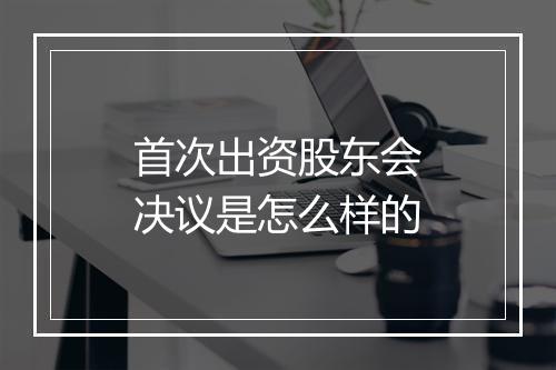 首次出资股东会决议是怎么样的