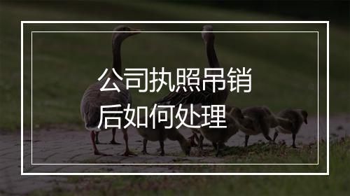 公司执照吊销后如何处理