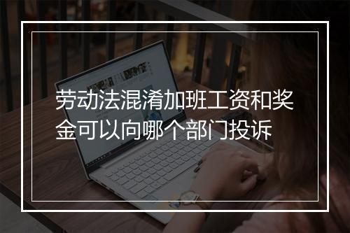劳动法混淆加班工资和奖金可以向哪个部门投诉