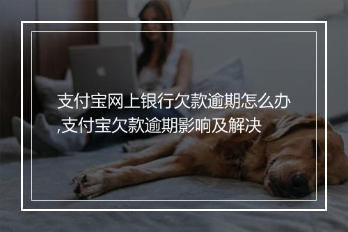支付宝网上银行欠款逾期怎么办,支付宝欠款逾期影响及解决