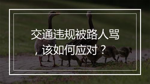 交通违规被路人骂，该如何应对？