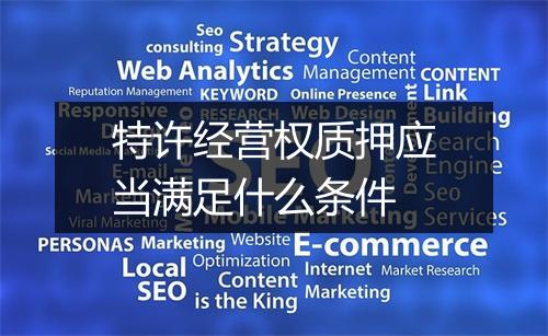特许经营权质押应当满足什么条件