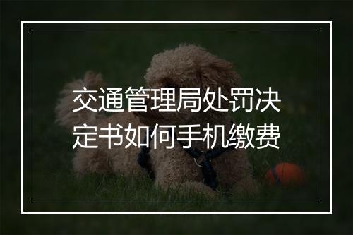 交通管理局处罚决定书如何手机缴费