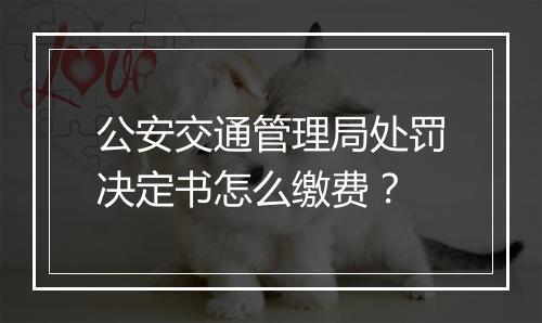公安交通管理局处罚决定书怎么缴费？