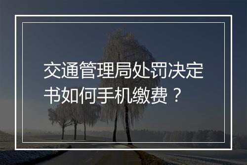 交通管理局处罚决定书如何手机缴费？