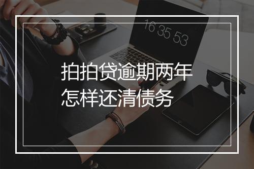 拍拍贷逾期两年怎样还清债务
