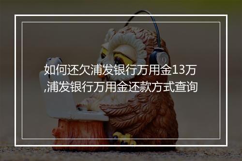 如何还欠浦发银行万用金13万,浦发银行万用金还款方式查询