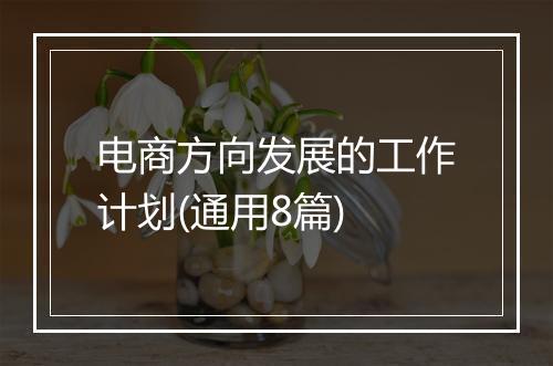 电商方向发展的工作计划(通用8篇)