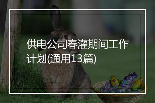 供电公司春灌期间工作计划(通用13篇)